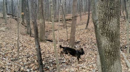 10295680_10205868656542551_1367461800045190420_n